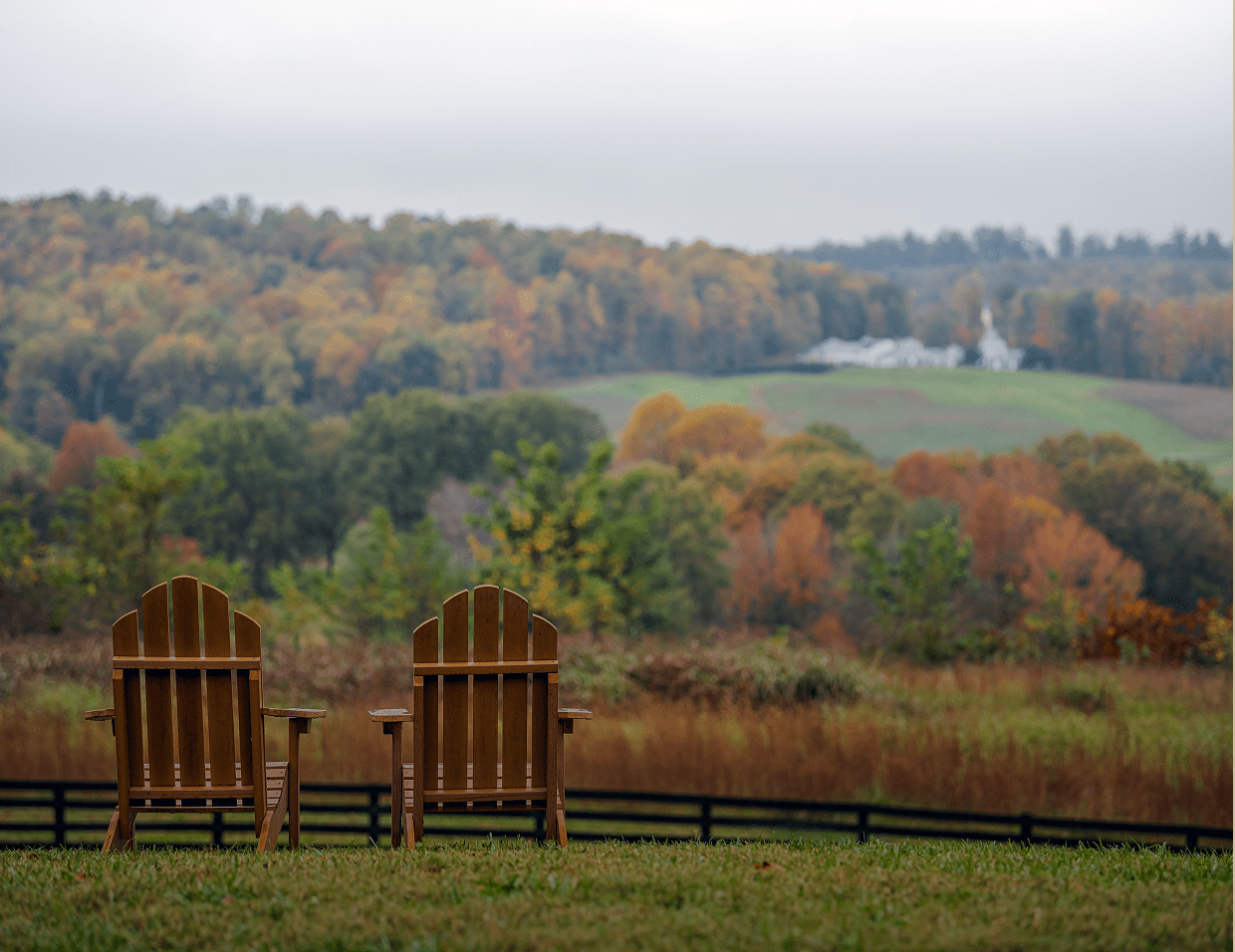 Two chairs with fall foliage view