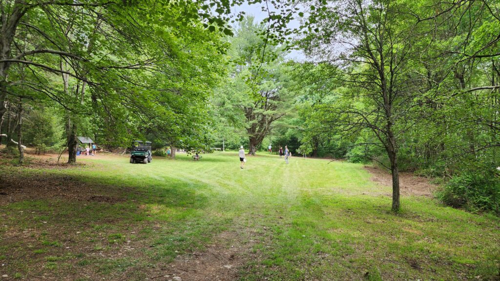 People walking in a lush green park.