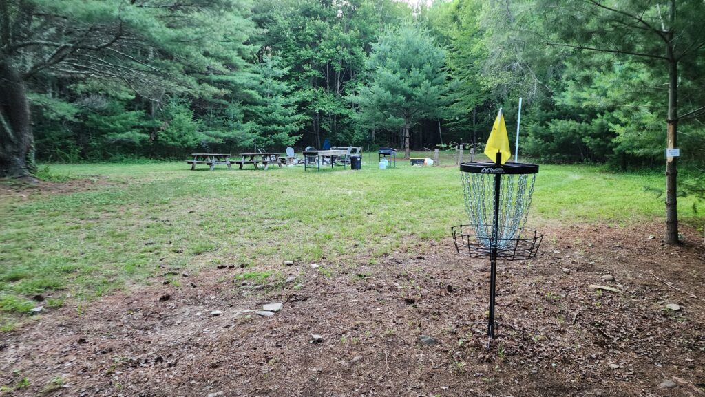Disc golf basket in a wooded park.