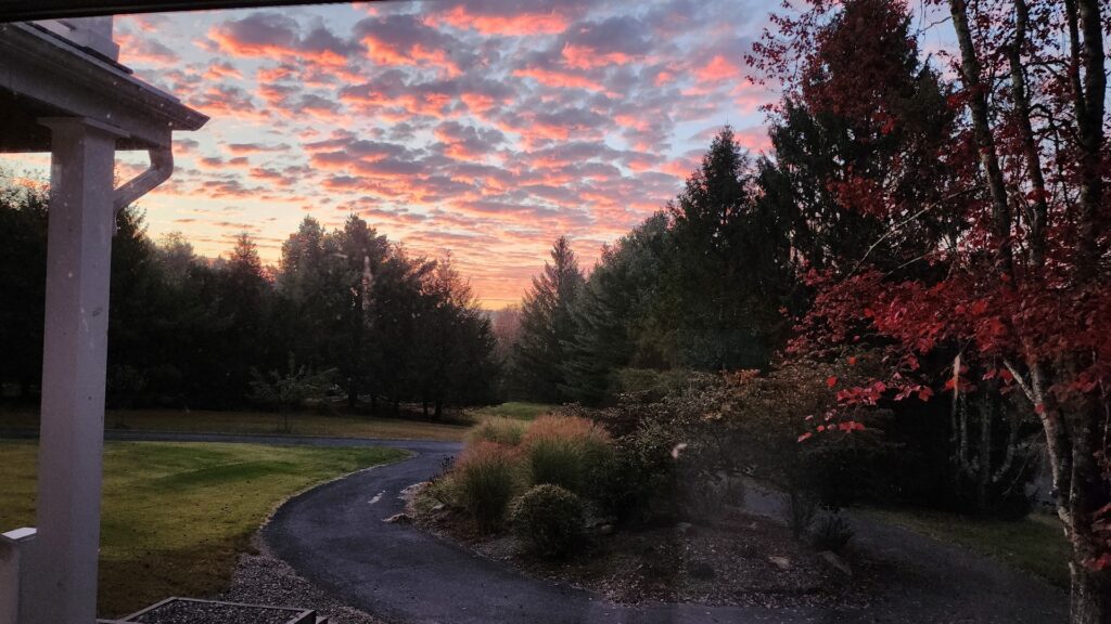 Sunset over a winding forest path.