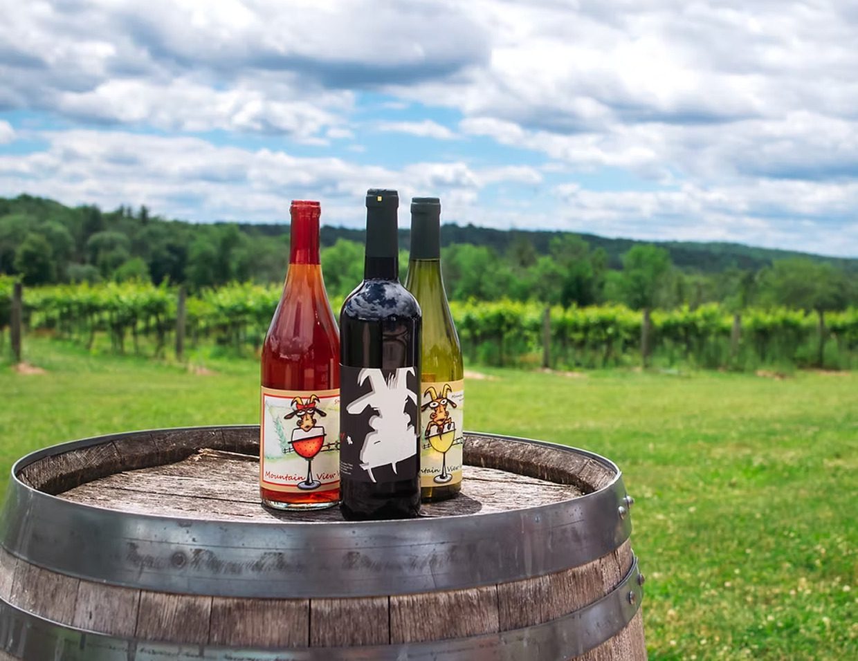 Wine bottles on a barrel in vineyard.